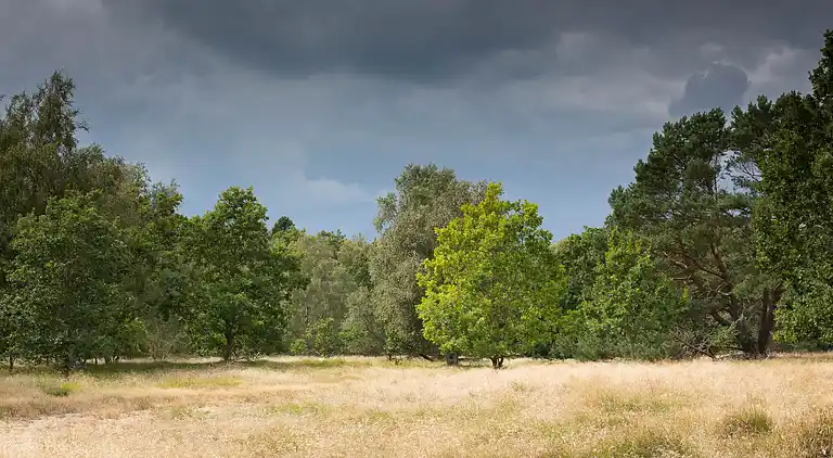 Hyggelig, renoveret  perle ved Rågeleje strand.