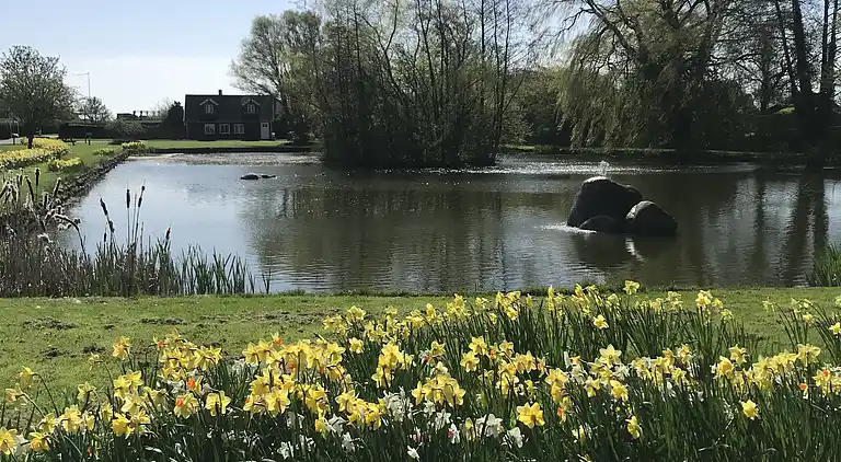 Schönes Ferienhaus auf Lolland