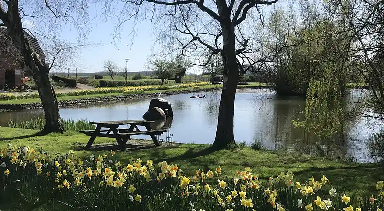 Schönes Ferienhaus auf Lolland