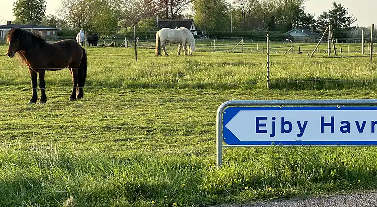 Small cozy summer house near the Isefjord