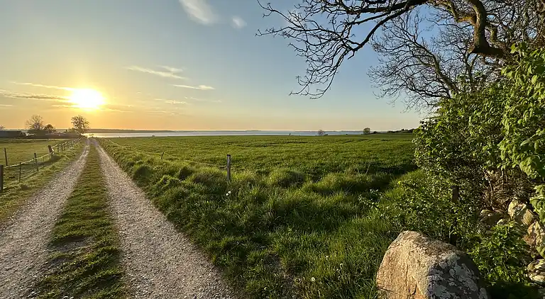 Small cozy summer house near the Isefjord