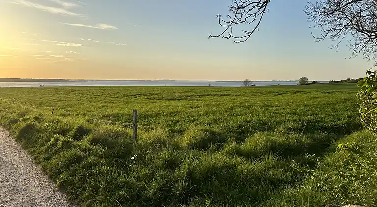 Small cozy summer house near the Isefjord