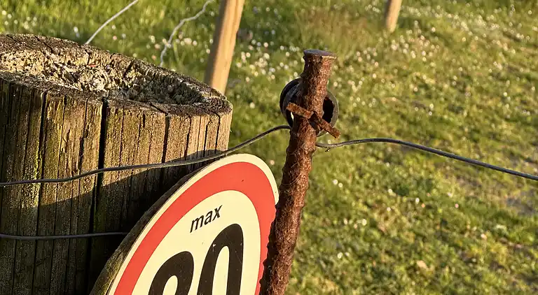 Small cozy summer house near the Isefjord