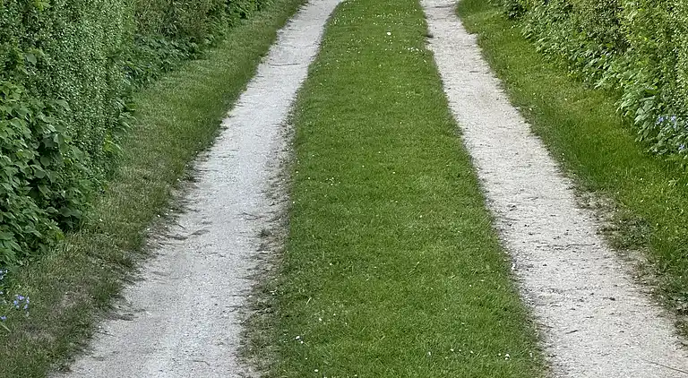 Small cozy summer house near the Isefjord