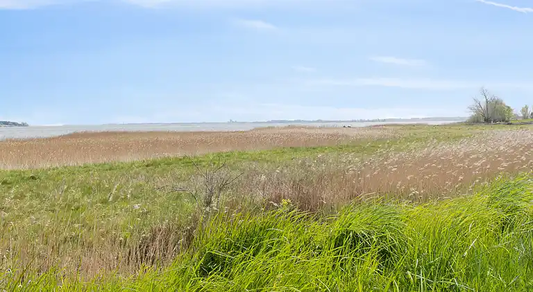 Sommerhausidylle bei Naturjuwel.