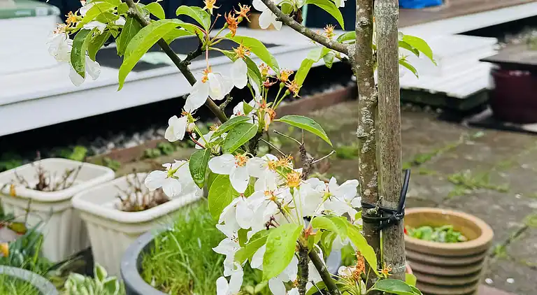 Idyllisches Ferienhaus in Strandnähe