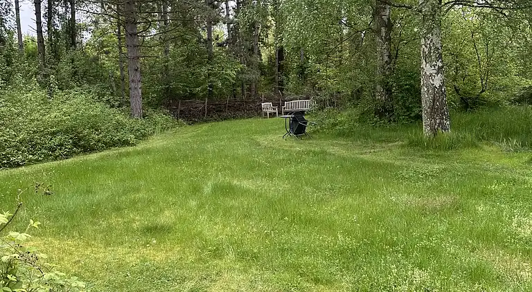 Gemütliches, reetgedecktes Ferienhaus-ladestation
