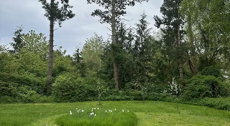 Gemütliches, reetgedecktes Ferienhaus-ladestation