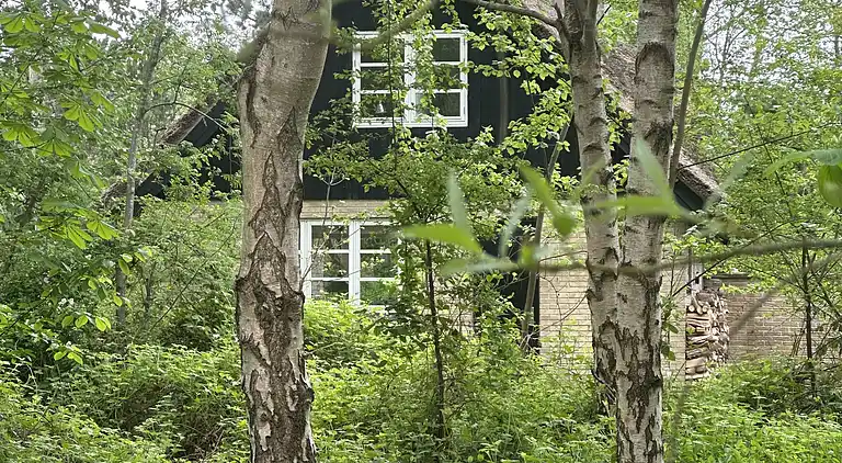 Gemütliches, reetgedecktes Ferienhaus-ladestation