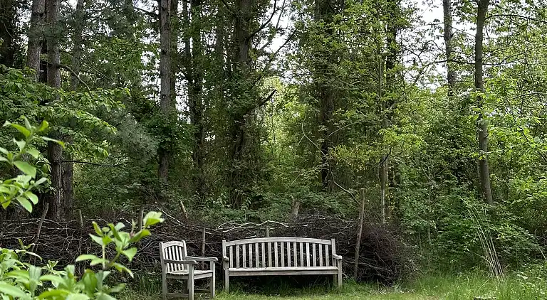 Gemütliches, reetgedecktes Ferienhaus-ladestation