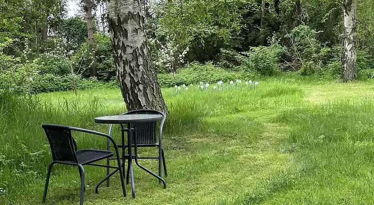 Gemütliches, reetgedecktes Ferienhaus-ladestation