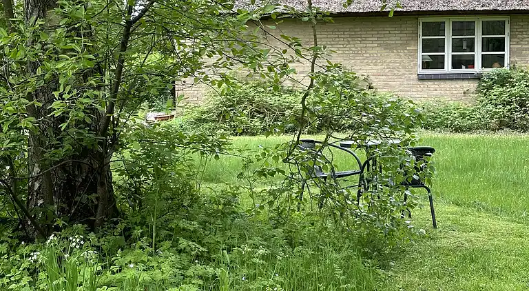 Gemütliches, reetgedecktes Ferienhaus-ladestation