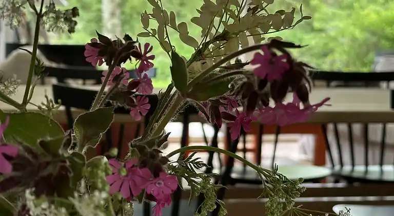 Gemütliches, reetgedecktes Ferienhaus-ladestation