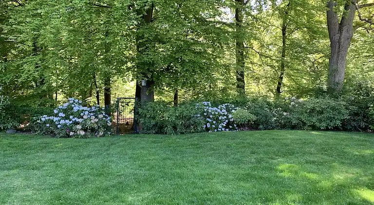 Oplev Nordsjællandsk bøgeskov  og strand 