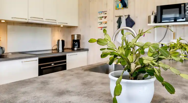 Vakantiehuis in Grønhøj