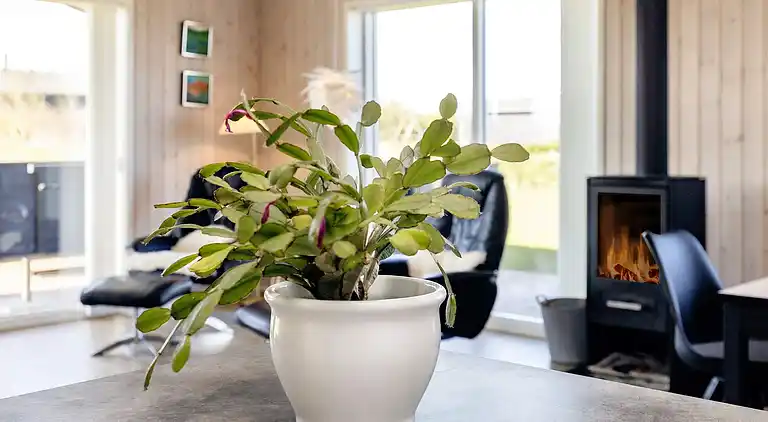 Vakantiehuis in Grønhøj