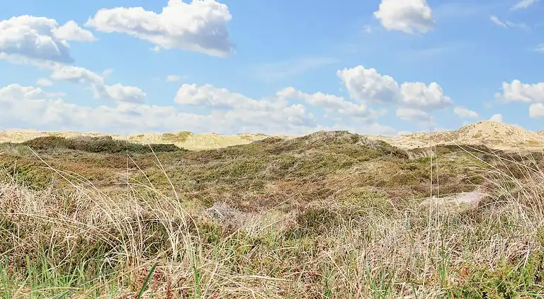 Holiday home in Pandrup