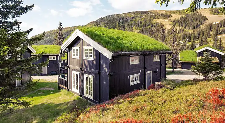 Holiday home in Fåvang