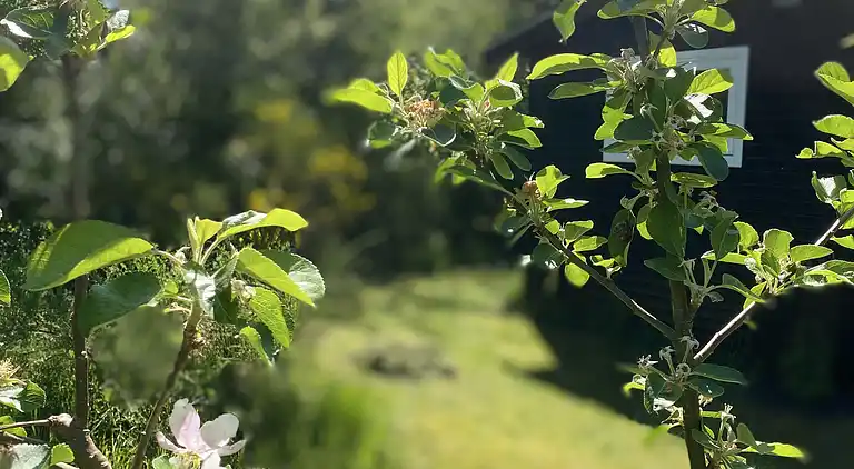 Hygge og ro i nænsomt renoveret sommeridyl