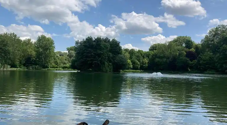 Studio privé Roya's Home