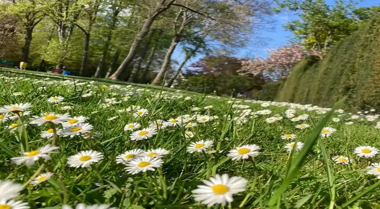 Studio privé Roya's Home