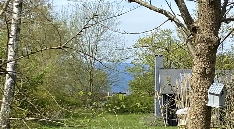 Sommerhus ved Veddinge i hyggelig 70’er stil