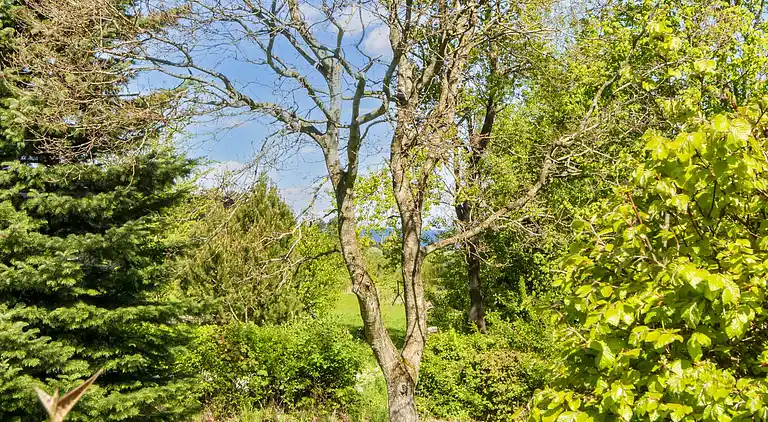 Holiday home in Bønnerup Strand