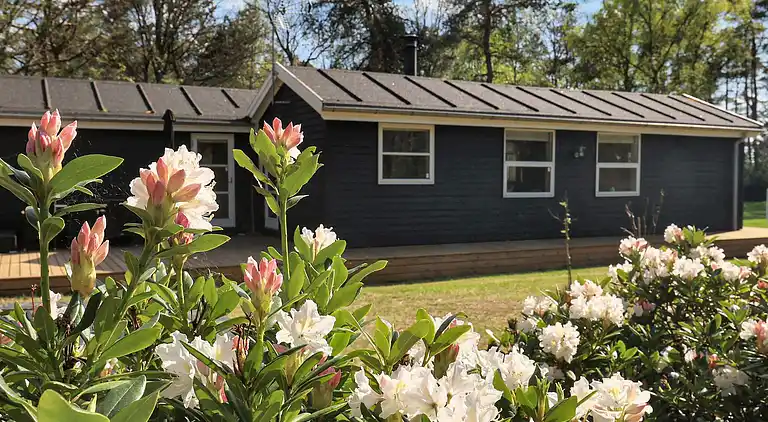 Ferienhaus am Helberskov Strand
