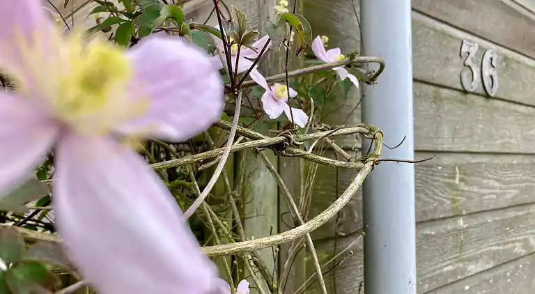 4 Personen Chalet Ufergrundstück, mit Parkplatz und eigenem