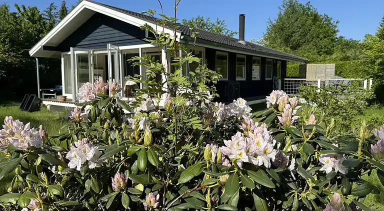 Idyllisches Ferienhaus in Strandnähe