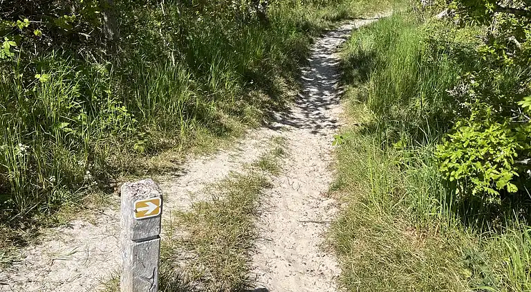 Nyd Ægte Bornholmer-stemning i dejligt Sommerhus