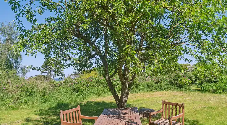 Idyllisk Kysthus: Komfort, hygge og afslapning