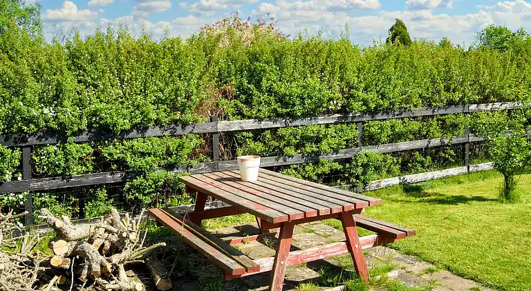 Sommerhus ved Smidstrup Strand