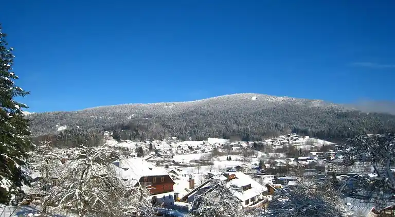 Ferienhaus in Silberberg