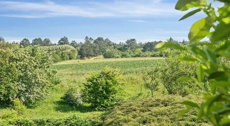 Gemütliches Bauernhaus mit fantastischer Umgebung