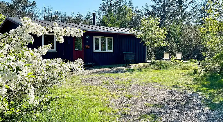 Semesterbostad i Ålbæk