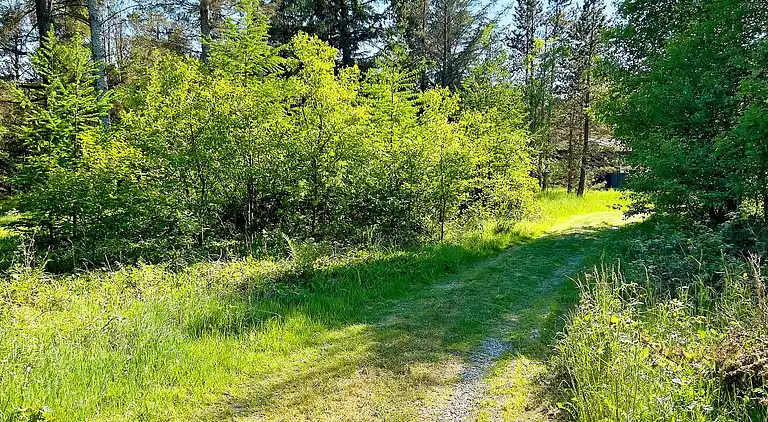 Semesterbostad i Ålbæk