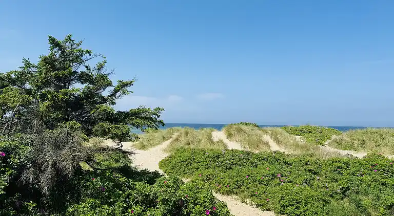Idyllisches Ferienhaus in Strandnähe