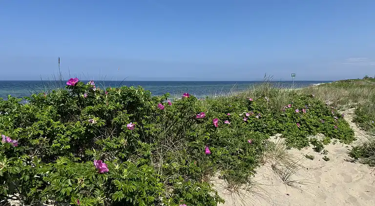 Idyllisches Ferienhaus in Strandnähe