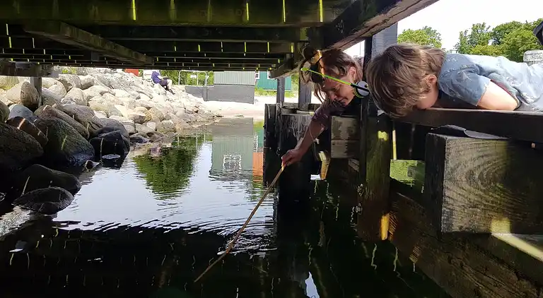 Sommerhus i idylliske kystområde