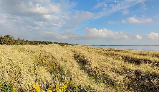 Sommerhus i idylliske kystområde