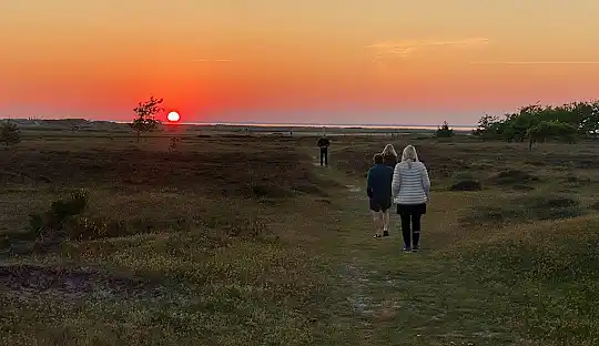 Sommerhus i idylliske kystområde