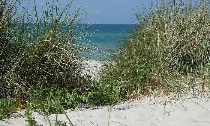 Sommerhus i idylliske kystområde