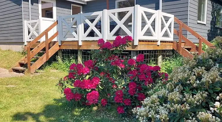 Gut gelegenes Ferienhaus in Ristinge, Langeland