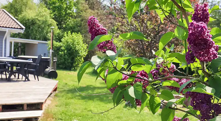 Casa vacanze in Helberskov Strand