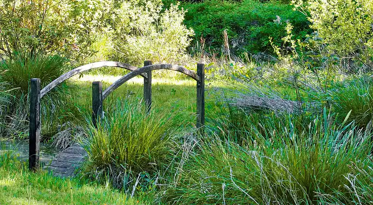 Sommerhus i Hornbæk