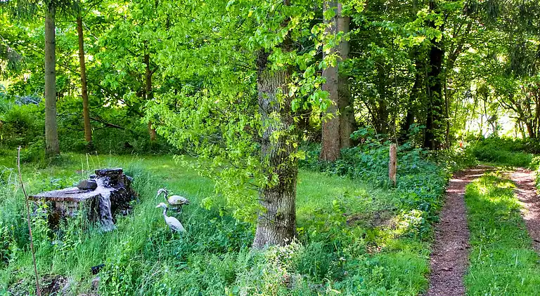 Sommerhus i Hornbæk