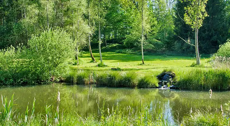 Sommerhus i Hornbæk