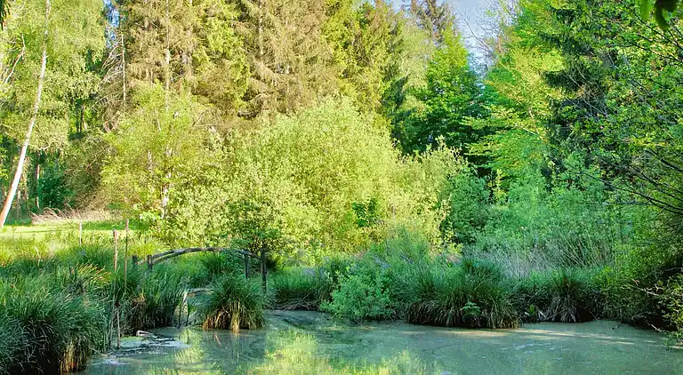 Sommerhus i Hornbæk