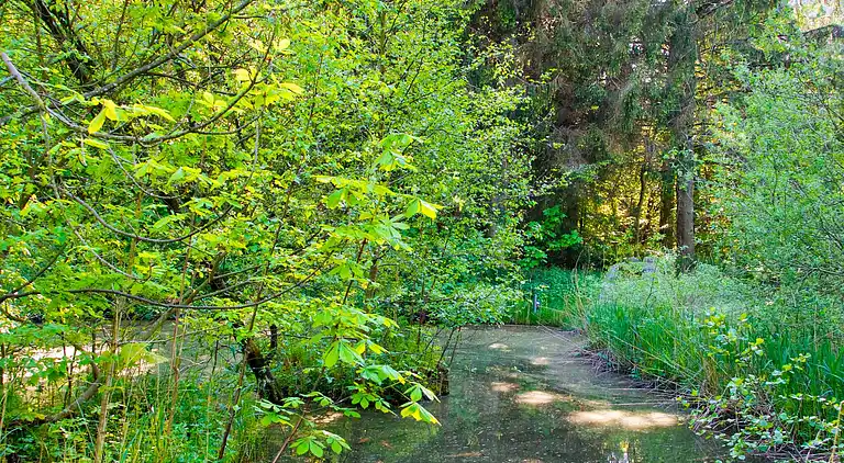Sommerhus i Hornbæk